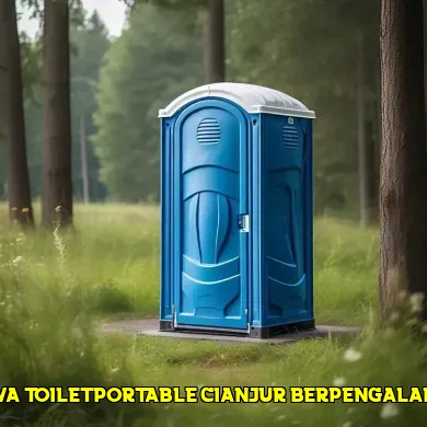 sewa toilet portable cianjur berpengalaman